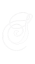 S transparent